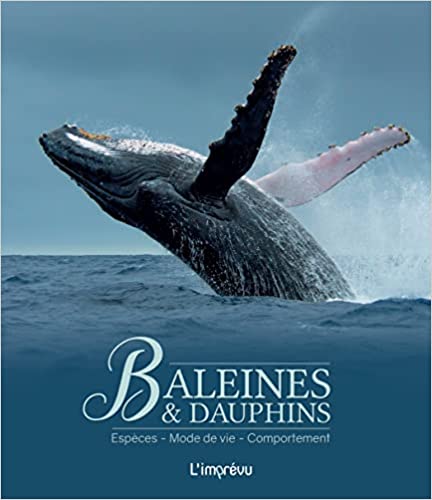 9 livres passionnants sur les baleines et les cétacés pour petits et grands