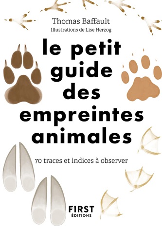 Guides De R F Rence Pour Identifier Les Traces D Animaux Facilement