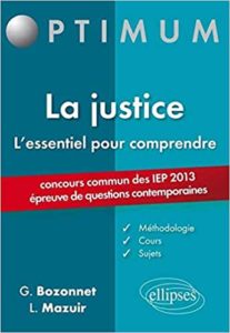 L'essentiel pour comprendre la justice (Grégory Bozonnet, Line Mazuir)