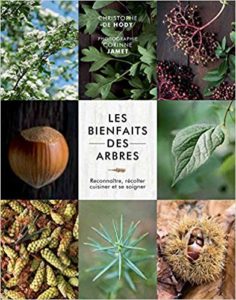 Les bienfaits des arbres : reconnaître, récolter, cuisiner et se soigner (Christophe De Hody, Corinne Jamet Moreno Ruiz)