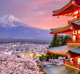 5 livres pour visiter le Japon