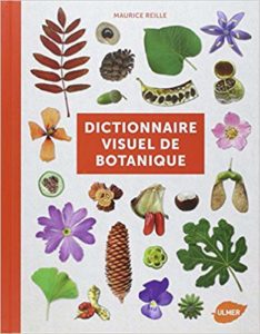 Dictionnaire visuel de botanique (Maurice Reille)