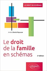Le Droit de la Famille en schémas (Amélie Dionisi-Peyrusse)