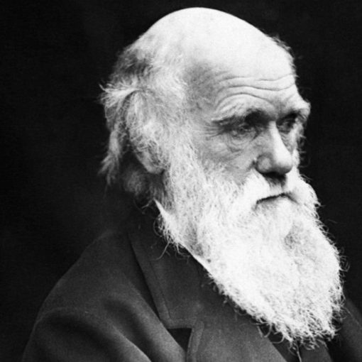 Les 5 meilleurs livres de Charles Darwin