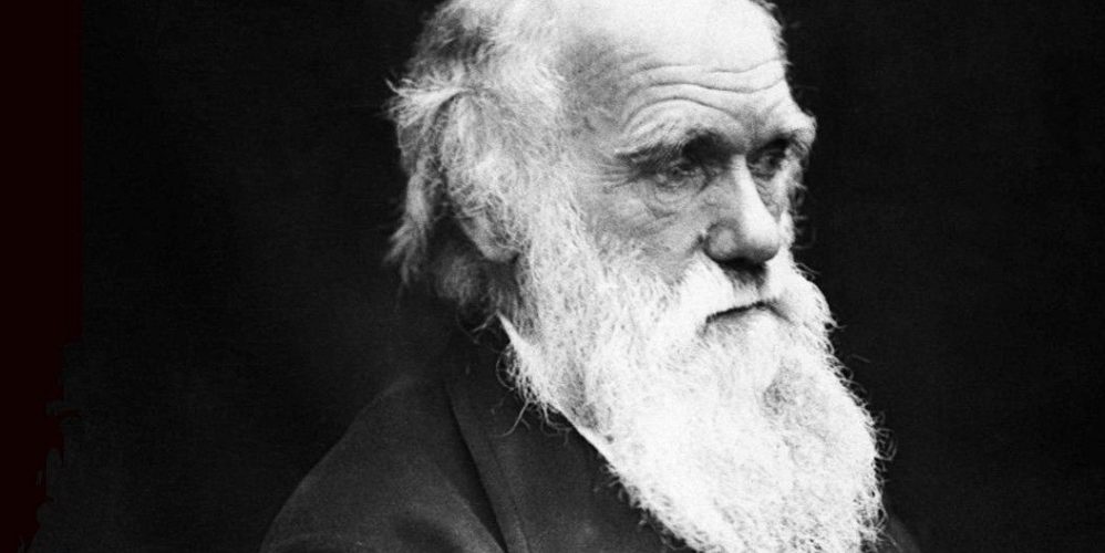 Les 5 meilleurs livres de Charles Darwin