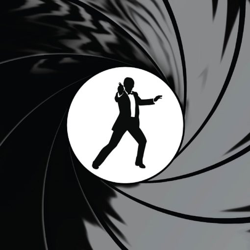 Les 5 meilleurs livres de James Bond