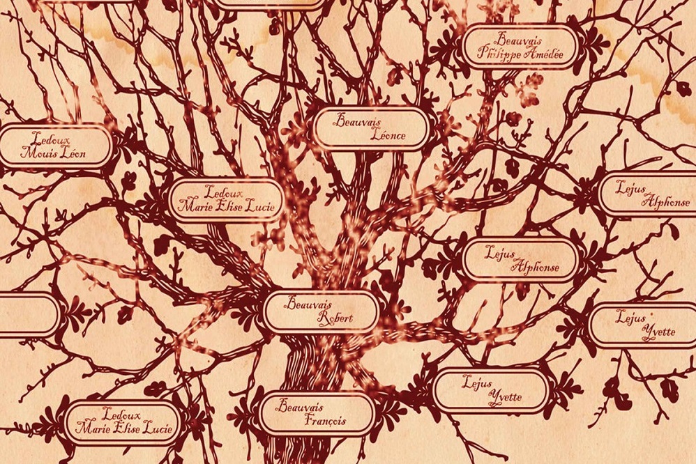 Les 5 meilleurs livres de généalogie