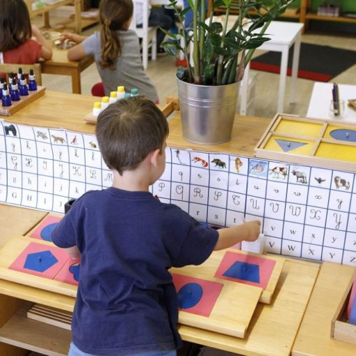 Les 5 meilleurs livres d’éducation Montessori