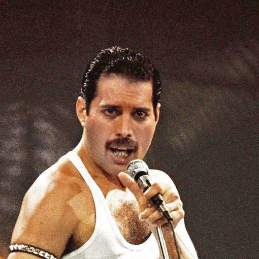 Les 5 meilleurs livres sur Freddie Mercury