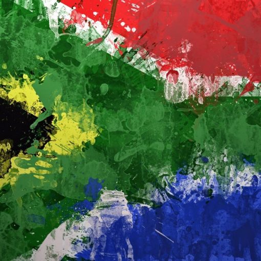 Les 5 meilleurs livres sur l'Afrique du Sud