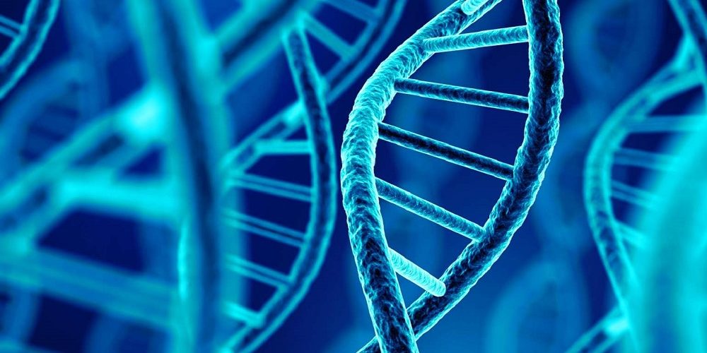 Les 5 meilleurs livres sur la génétique