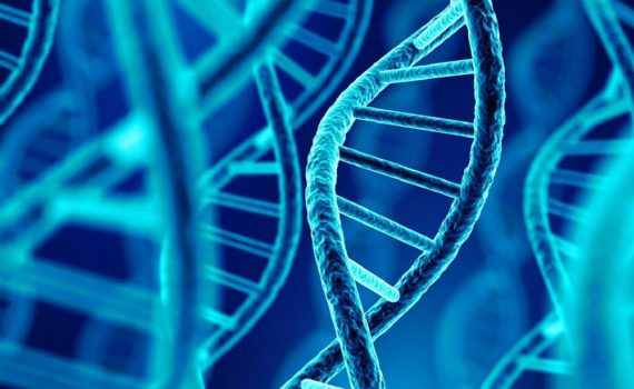 Les 5 meilleurs livres sur la génétique