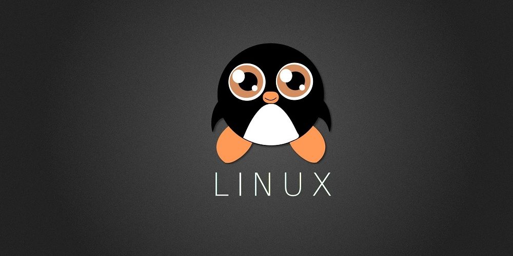 Les 5 meilleurs livres sur l'administration Linux