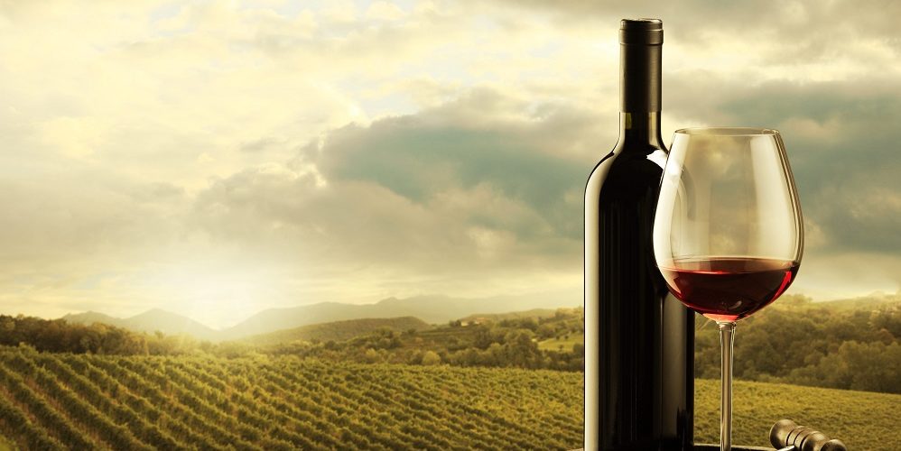 Les 5 meilleurs livres sur les vins de Bourgogne
