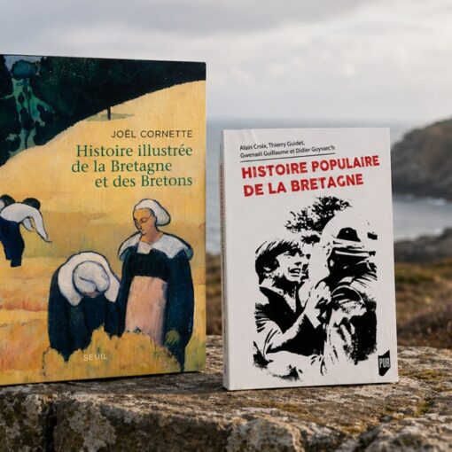Que lire sur l'histoire de la Bretagne ?