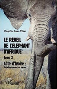 Le réveil de l'éléphant d'Afrique - Côte d'Ivoire : de l'effondrement au sursaut (Théophile Ahoua N'Doli)