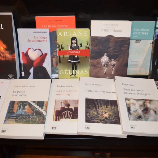 Les 5 meilleurs livres de la littérature québécoise