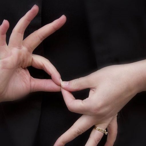 Les 5 meilleurs livres pour apprendre la langue des signes