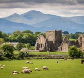 Les 5 meilleurs livres pour visiter l’Irlande