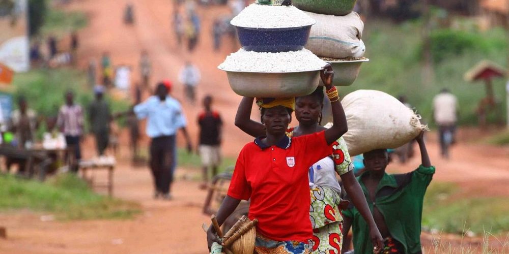 Les 5 meilleurs livres sur la République centrafricaine