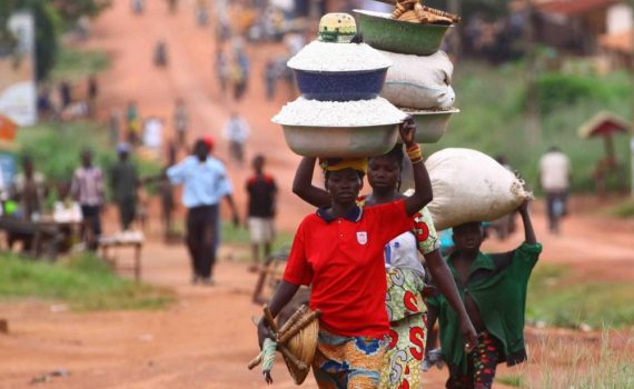 Les 5 meilleurs livres sur la République centrafricaine