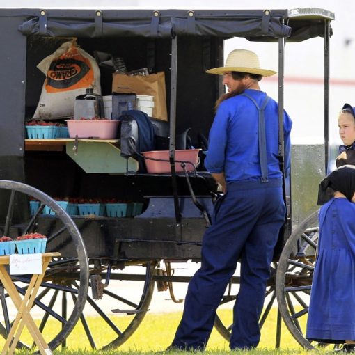 Les 5 meilleurs livres sur les Amish