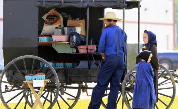 Les 5 meilleurs livres sur les Amish