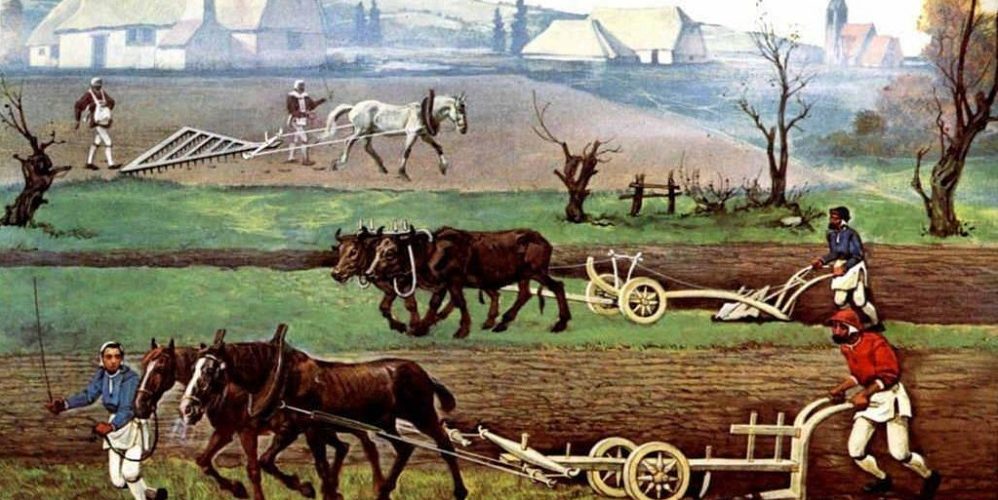 Les 5 meilleurs livres sur l'histoire de l'agriculture