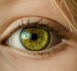 Les 5 meilleurs livres sur l’iridologie