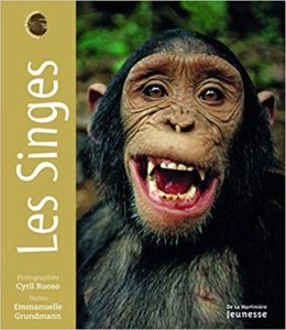Les singes - Portraits d'animaux (Emmanuelle Grundmann, Cyril Ruoso)