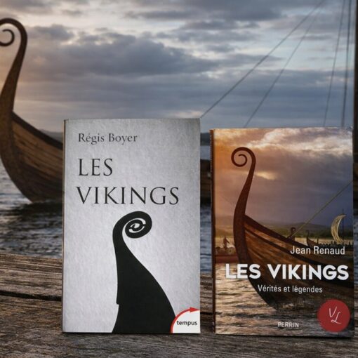 Que lire sur les Vikings ?