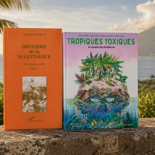Que lire sur l'histoire de la Martinique ?