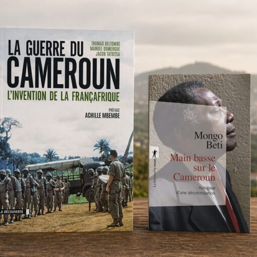 Que lire sur l'histoire du Cameroun ?