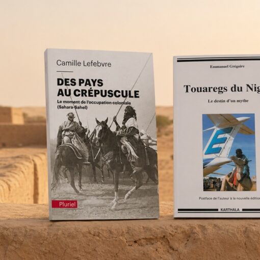 Que lire sur l'histoire du Niger ?