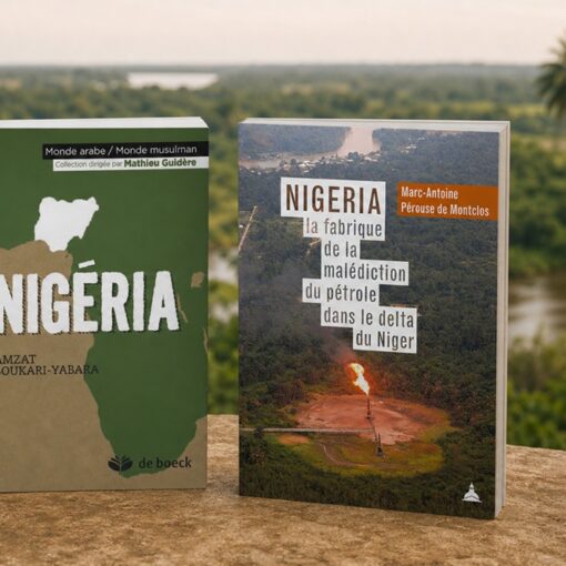 Que lire sur l'histoire du Nigeria ?