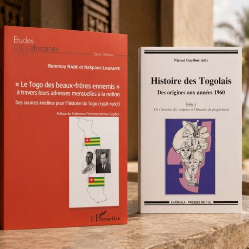 Que lire sur l'histoire du Togo ?