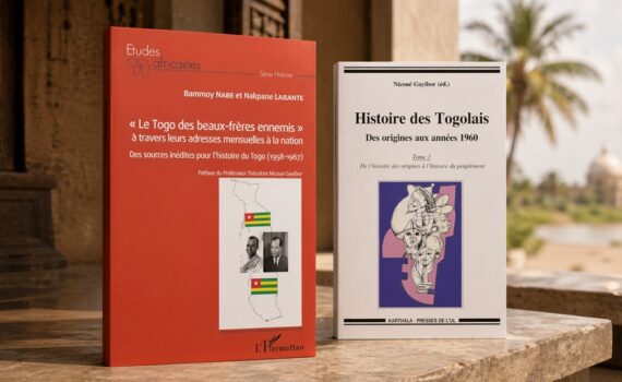 Que lire sur l'histoire du Togo ?