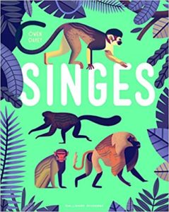 Singes (Owen Davey)