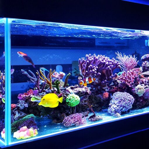 10 livres pour créer facilement un aquarium