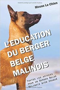L'éducation du Berger Belge Malinois (Mouss Le Chien)