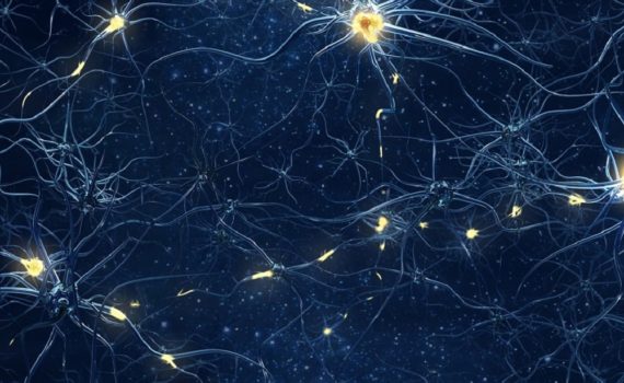 Les 5 meilleurs livres de neurobiologie