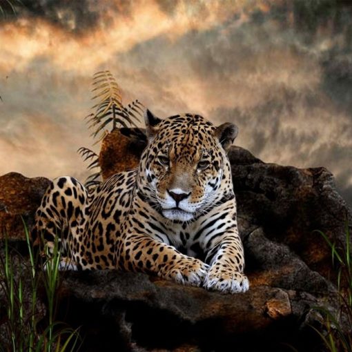 Les 5 meilleurs livres de zoologie