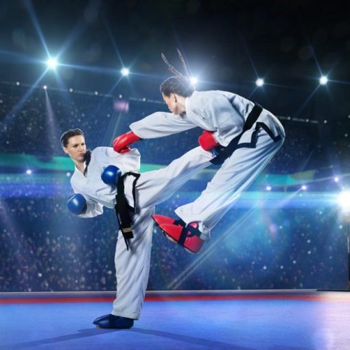 Les 5 meilleurs livres sur le taekwondo