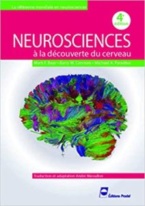 Neurosciences - À la découverte du cerveau (André Nieoullon, Michael A. Paradiso, Barry W. Connors)
