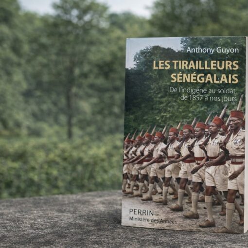 Que lire sur les tirailleurs sénégalais ?