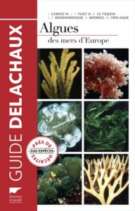 Algues des mers d'Europe - Près de 300 espèces décrites (Jacqueline Cabioc'h, Jean-Yves Floc'h)