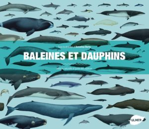 Baleines et dauphins - Histoire naturelle et guide des espèces (Annalisa Berta)