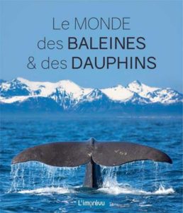 Baleines et dauphins - Espèces, mode de vie, comportement (Wandrey Rüdiger)