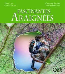 Fascinantes araignées (Philippe Blanchot, Christine Rollard)