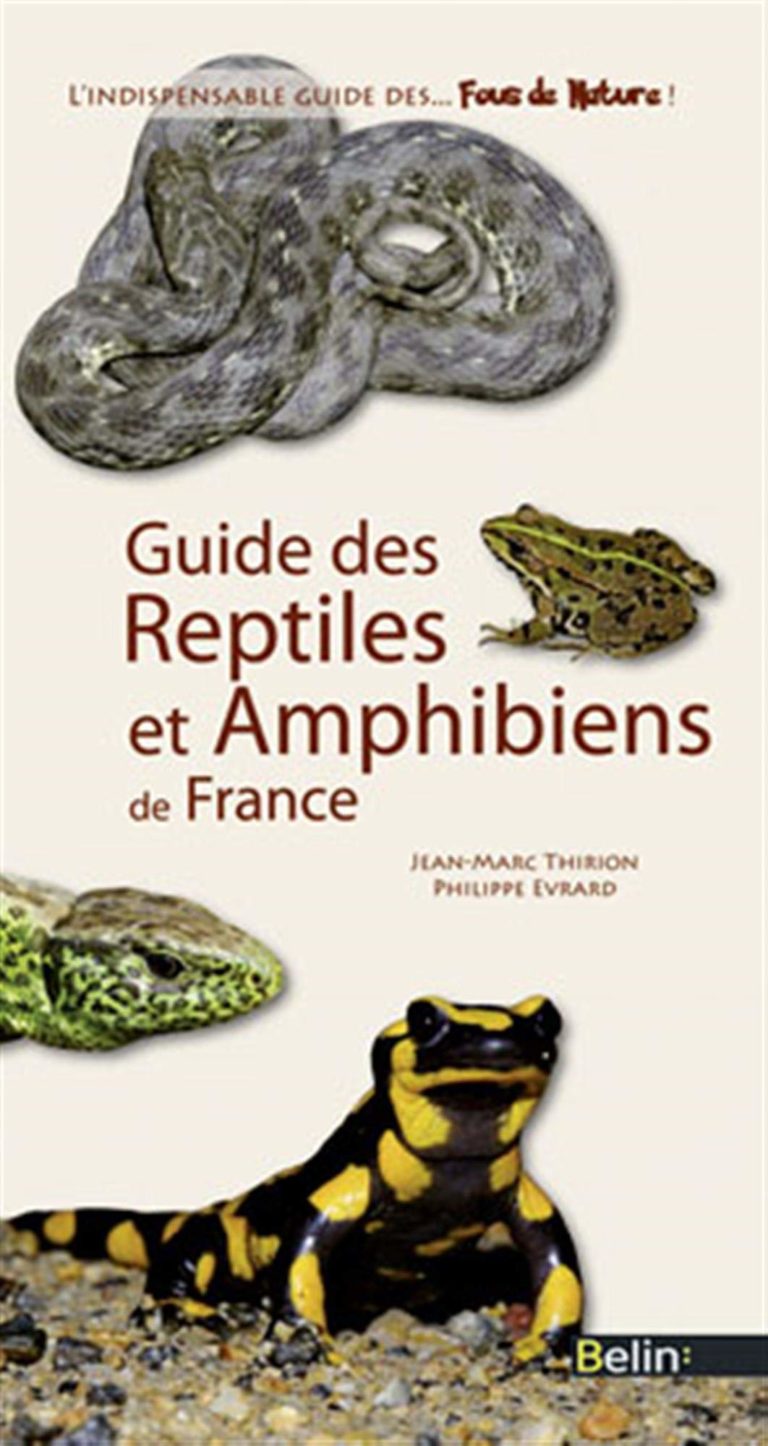 Les 5 meilleurs livres sur les reptiles - 5livres